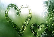 有哪些靠谱的网球免费观看直播平台?